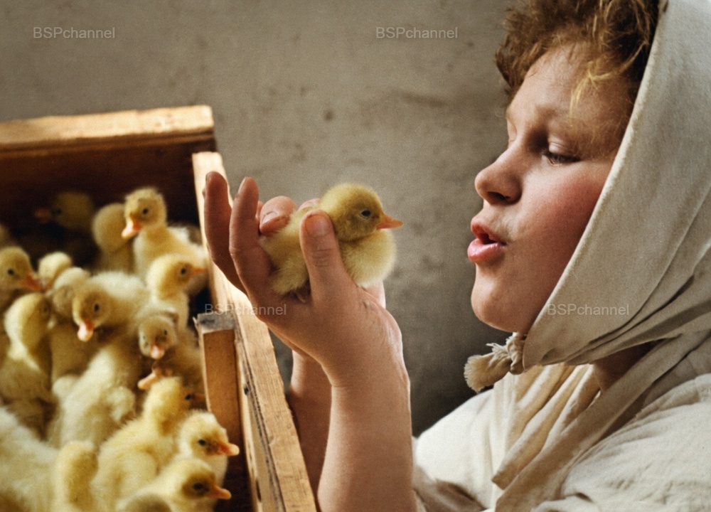 Удивительные и забавные фотографии с животными