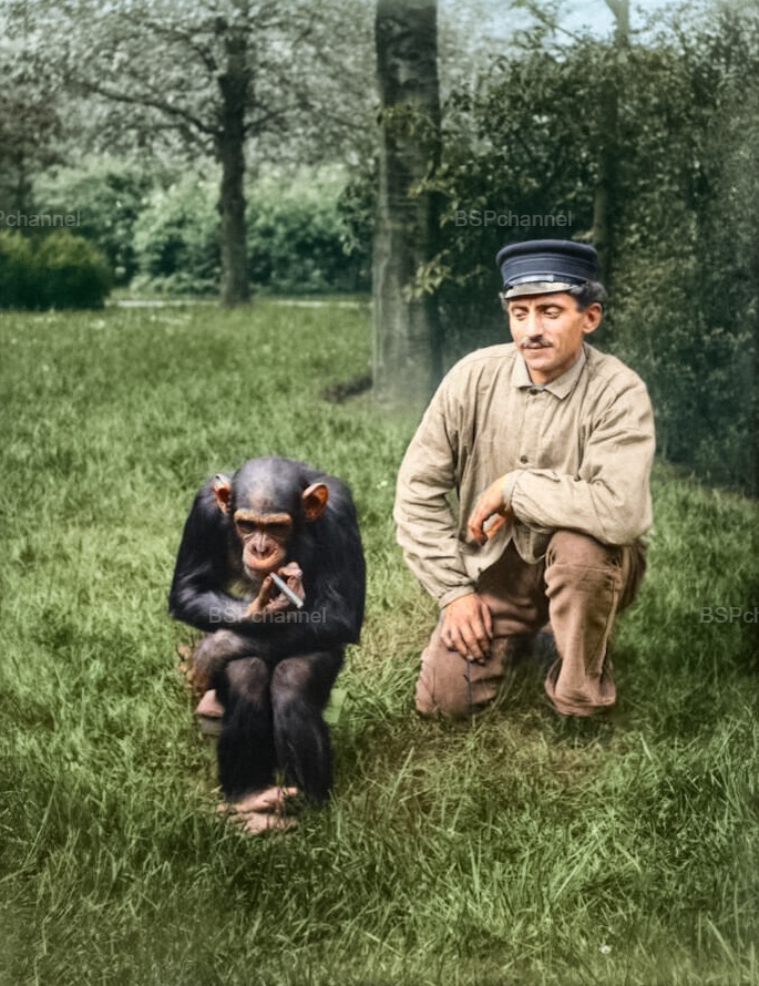 Удивительные и забавные фотографии с животными