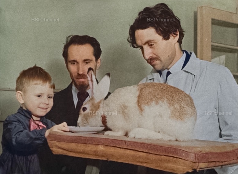 Удивительные и забавные фотографии с животными