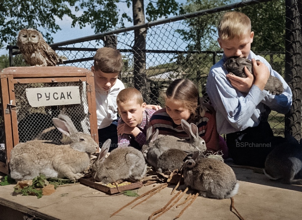 Удивительные и забавные фотографии с животными