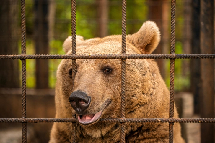 Источник: Levon Avagyan/Shutterstock/Fotodom.ru