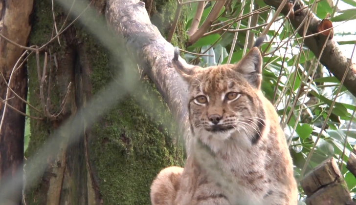 Флавий в 2018 году | Источник: Ruby Ellis / YouTube