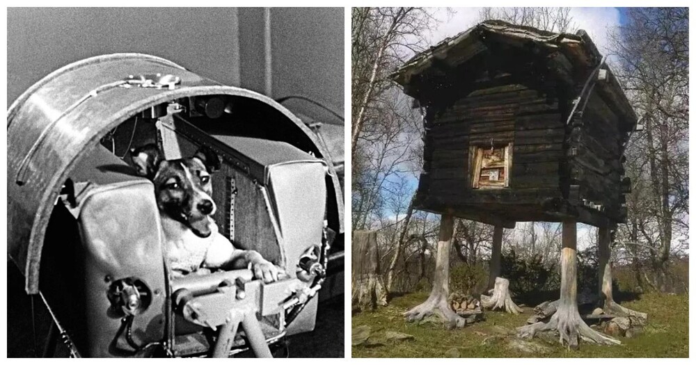 17 исторических кадров, которые вы могли пропустить 17 исторических кадров, которые вы могли пропустить