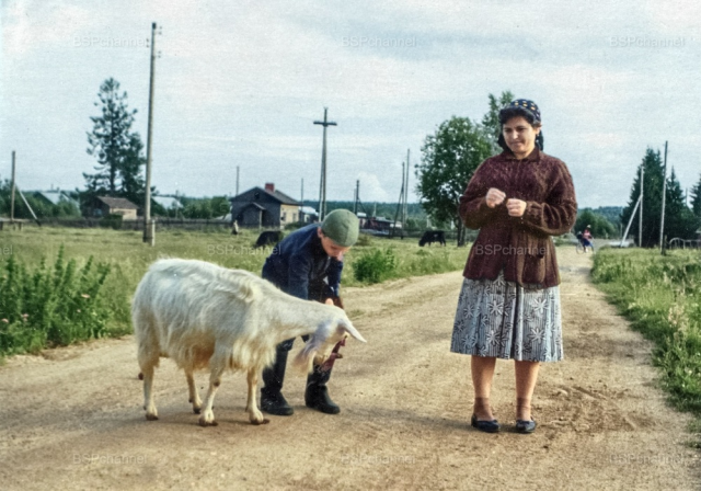 Петровский сельсовет. Ленинградская область, Приозерский район, 1963 год.