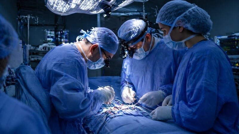 Россиянам стала доступна бесплатная трансплантация рук