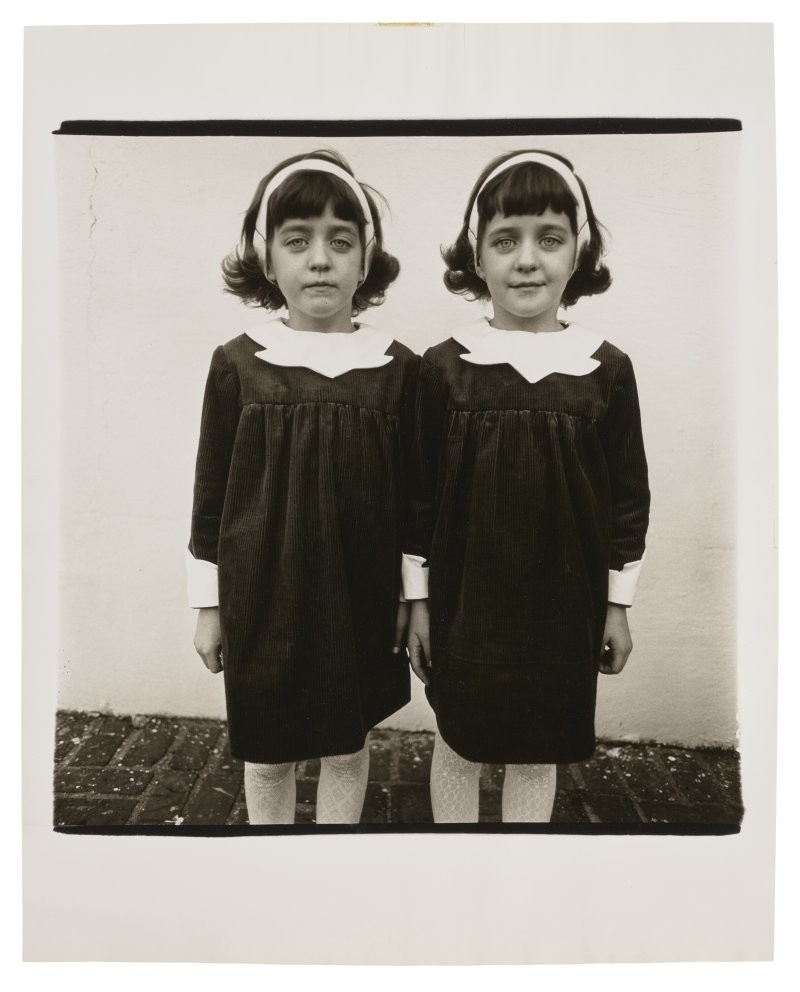 7. Фотография близнецов Дианы Арбус 1967 год, Розелла, Нью-Джерси