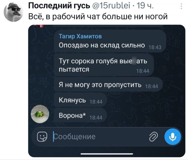 Подборка забавных твитов обо всем