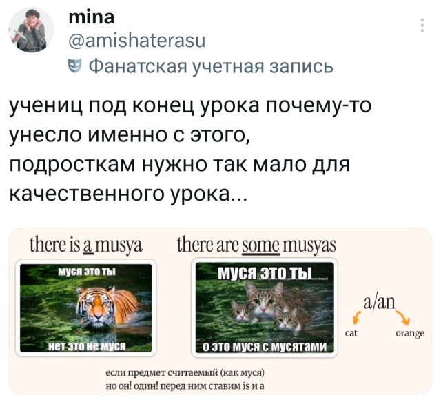 Подборка забавных твитов обо всем
