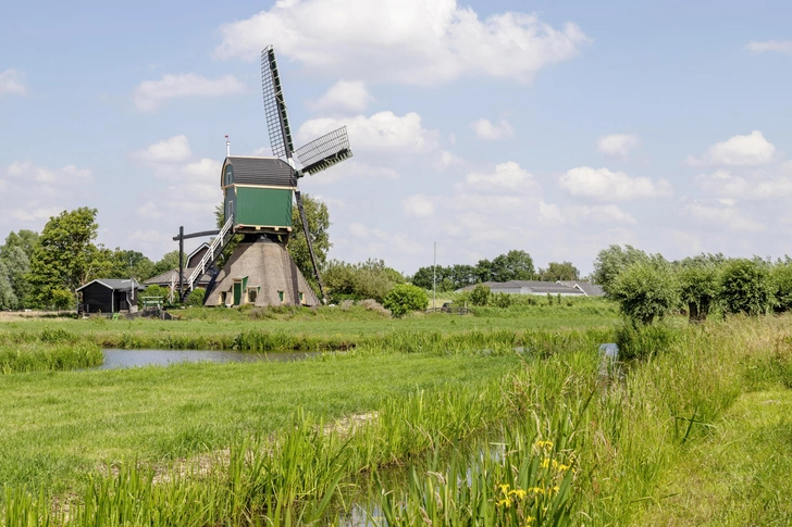 Источник: ISTOCKPHOTO