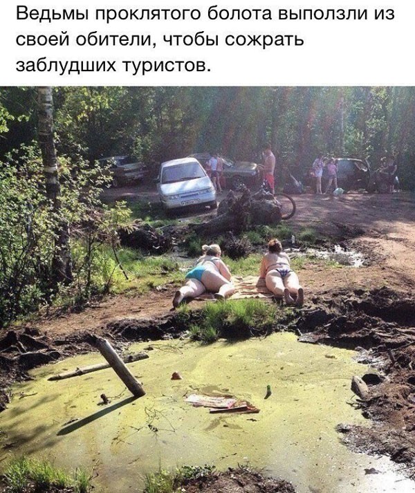 Срединедельный подвоз баянов