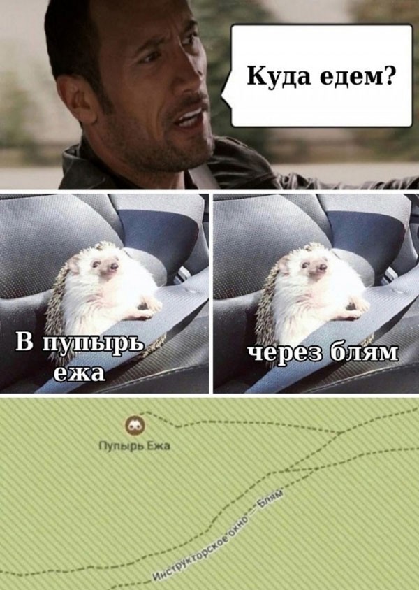 Срединедельный подвоз баянов