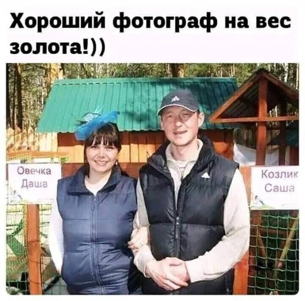 Срединедельный подвоз баянов