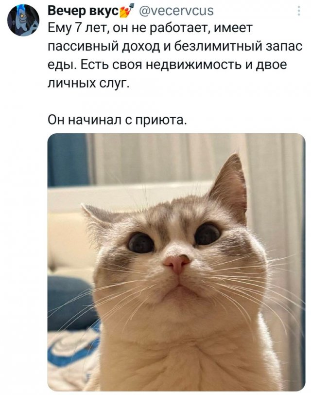 Подборка забавных твитов обо всем