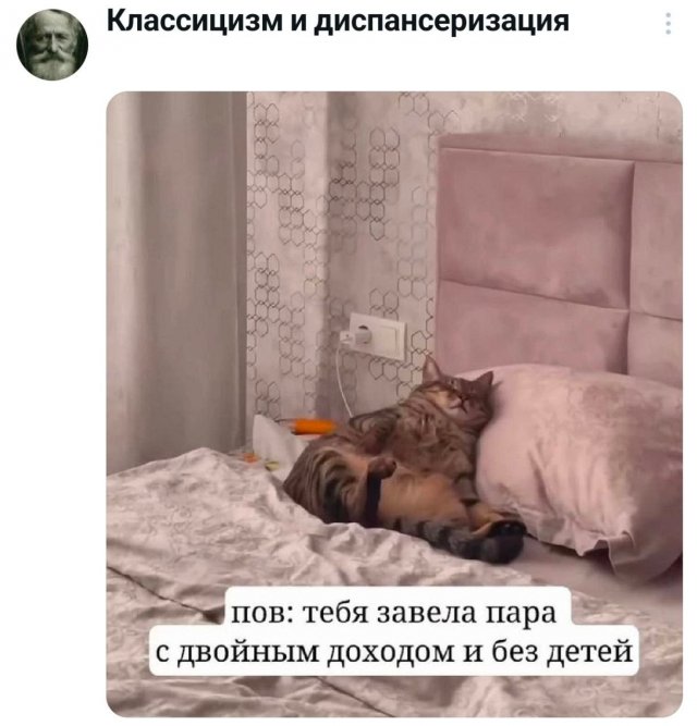 Подборка забавных твитов обо всем