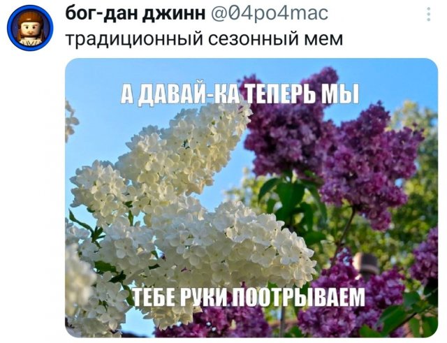 Подборка забавных твитов обо всем