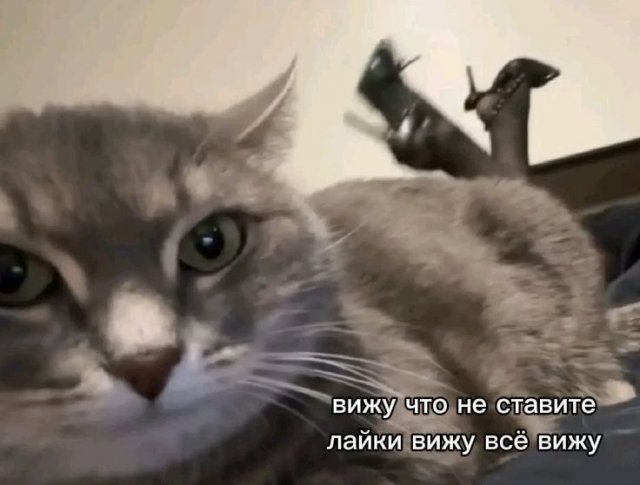 Смешные мемы - 30.06.2026
