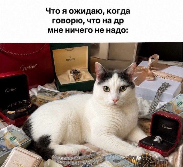 Веселые картинки 28.07