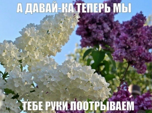 Веселые картинки 28.07