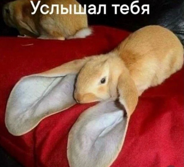 Веселые картинки 28.07