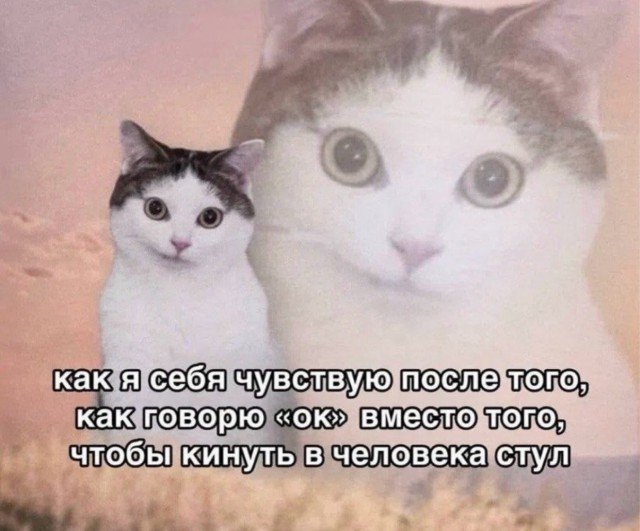 Веселые картинки 28.07