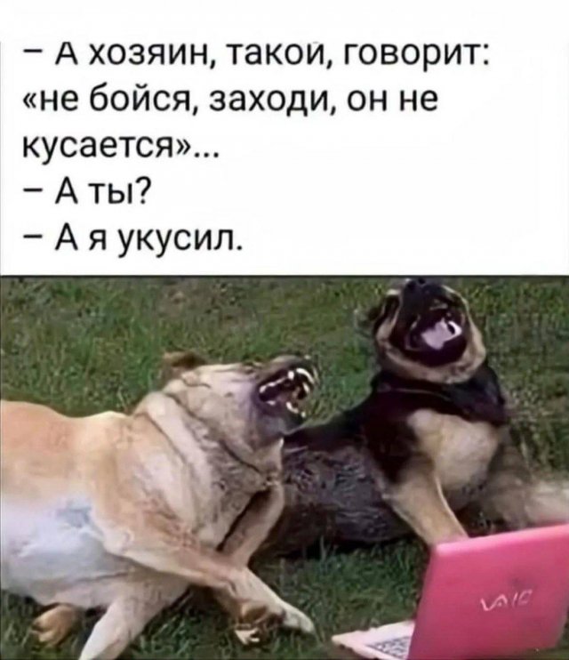 Лучшие шутки и мемы из Сети - 06.08.2026