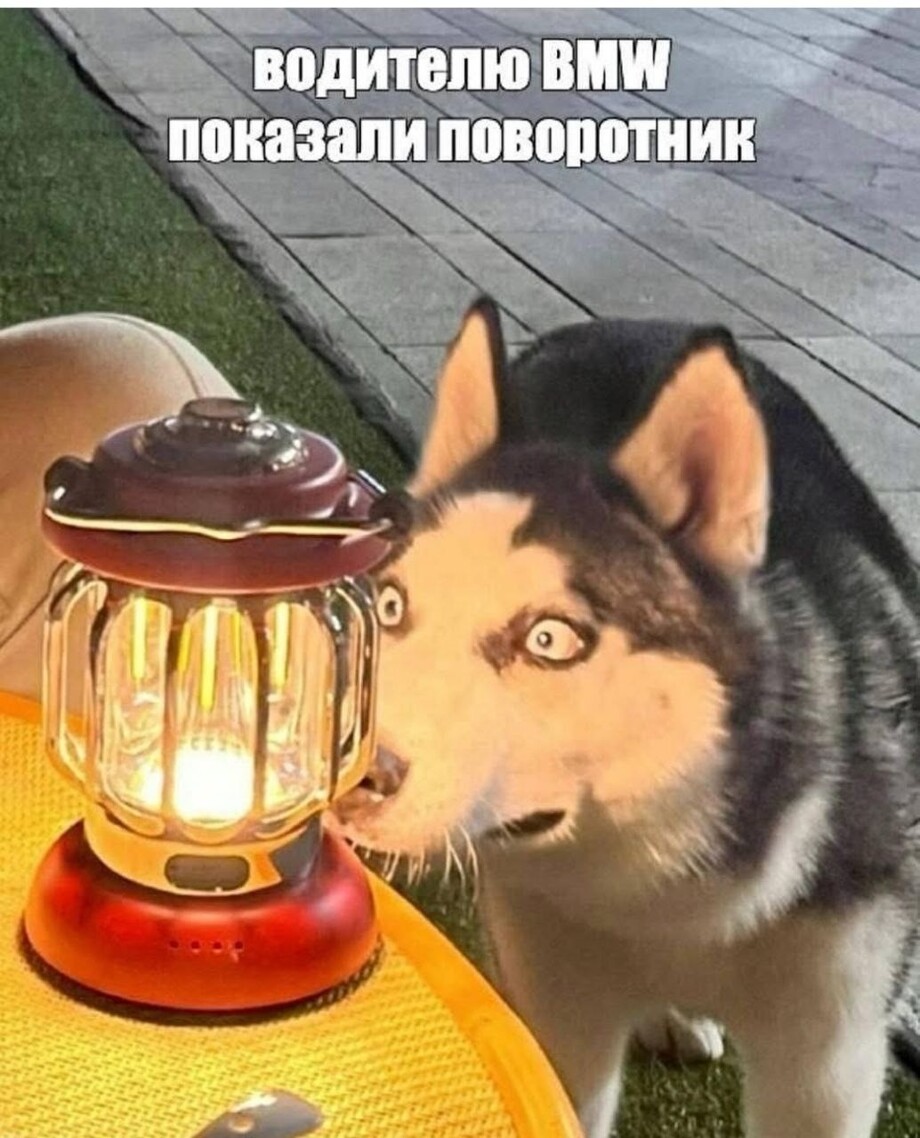 33 прикола