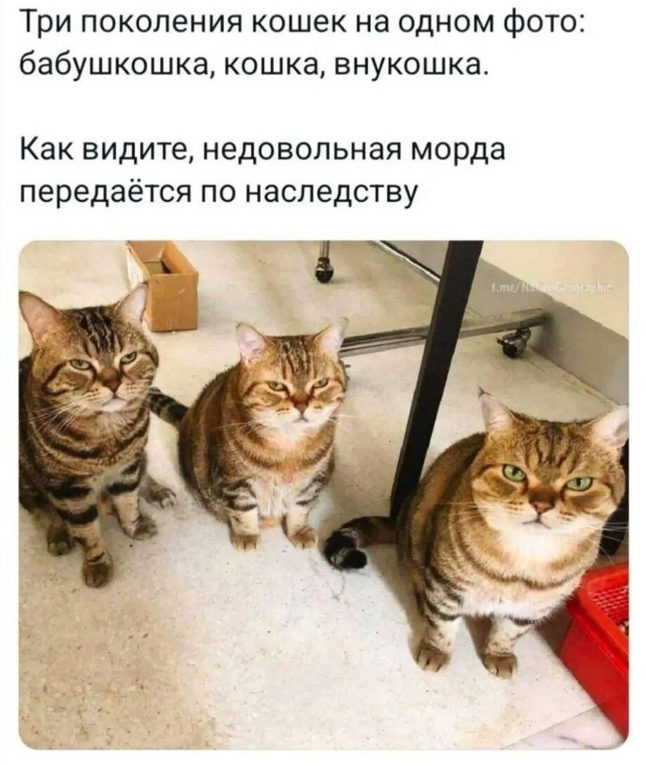 33 прикола