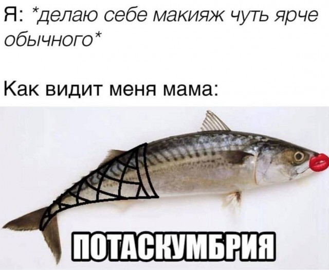 33 прикола